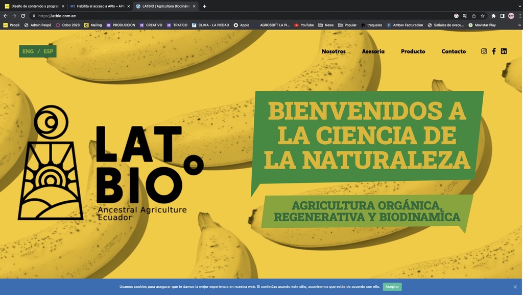 Diseño y programación Página Web