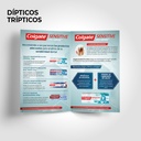 Diseño de Folleto Tríptico