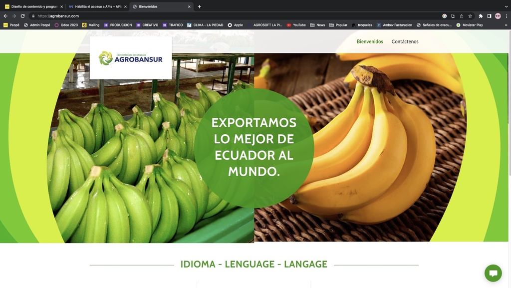 Creación de Página Web