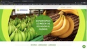 Creación de Página Web